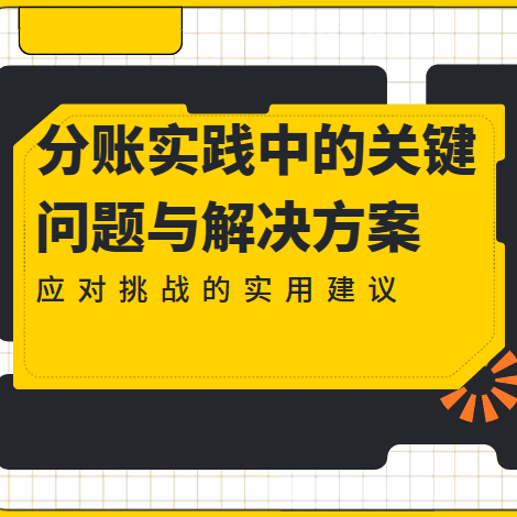 分账实践中的关键问题与解决方案：应对挑战的实用建议