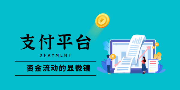 支付平台：资金流动的显微镜