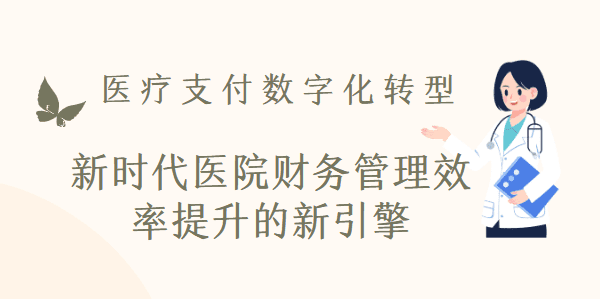 医疗支付数字化转型：新时代医院财务管理效率提升的新引擎