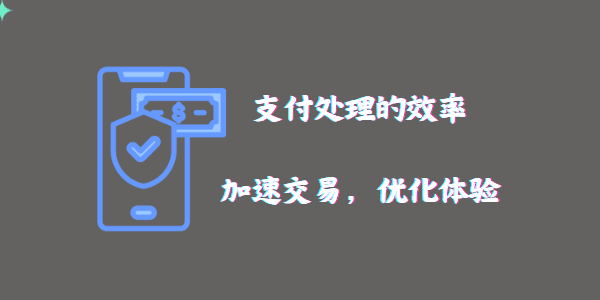 支付处理的效率：加速交易，优化体验