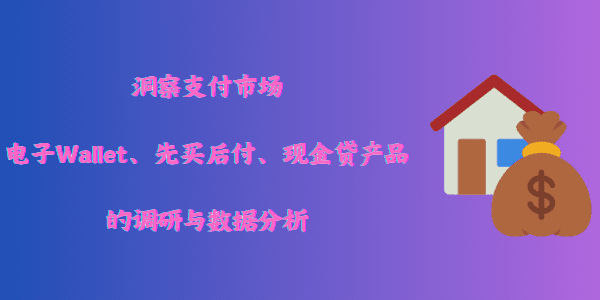 洞察支付市场——电子Wallet、先买后付、现金贷产品的调研与数据分析