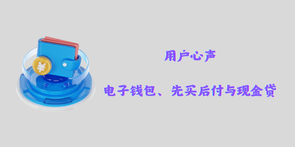 用户心声：电子钱包、先买后付与现金贷