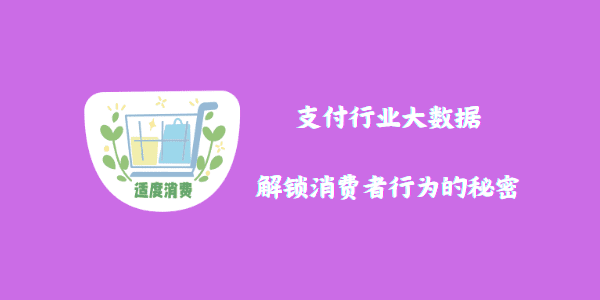 支付行业大数据：解锁消费者行为的秘密